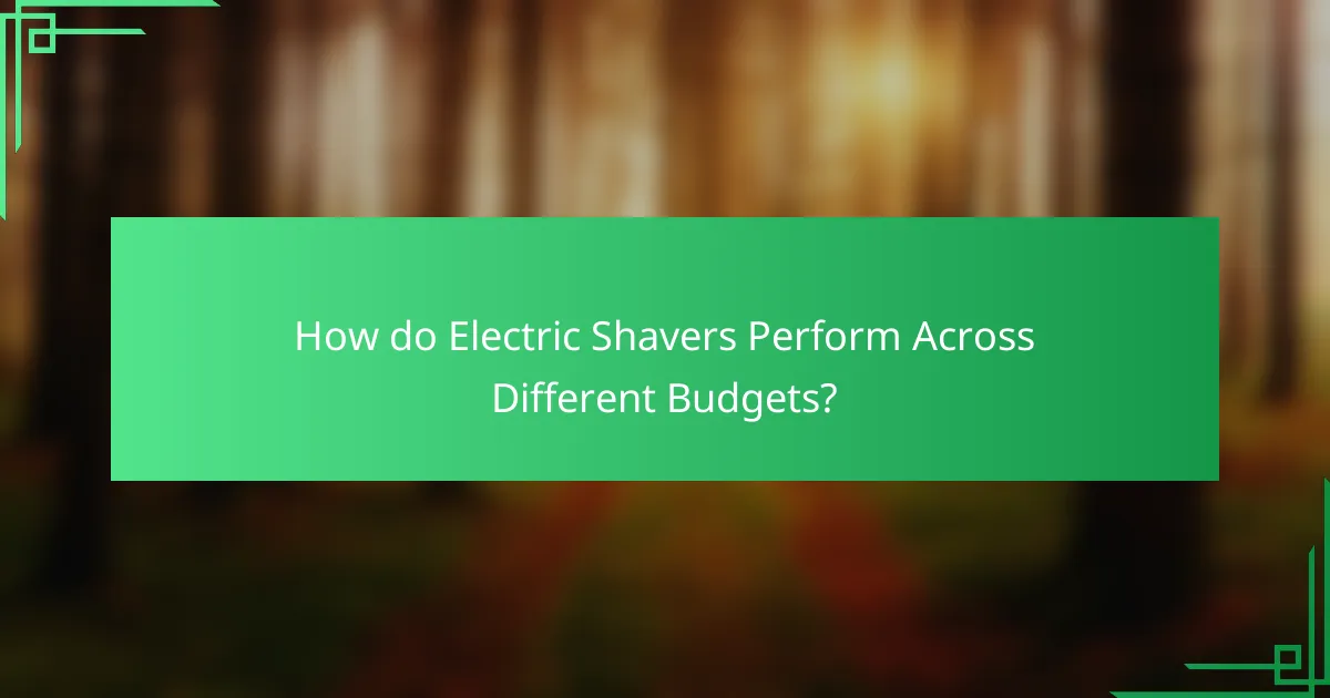 How do Electric Shavers Perform Across Different Budgets?