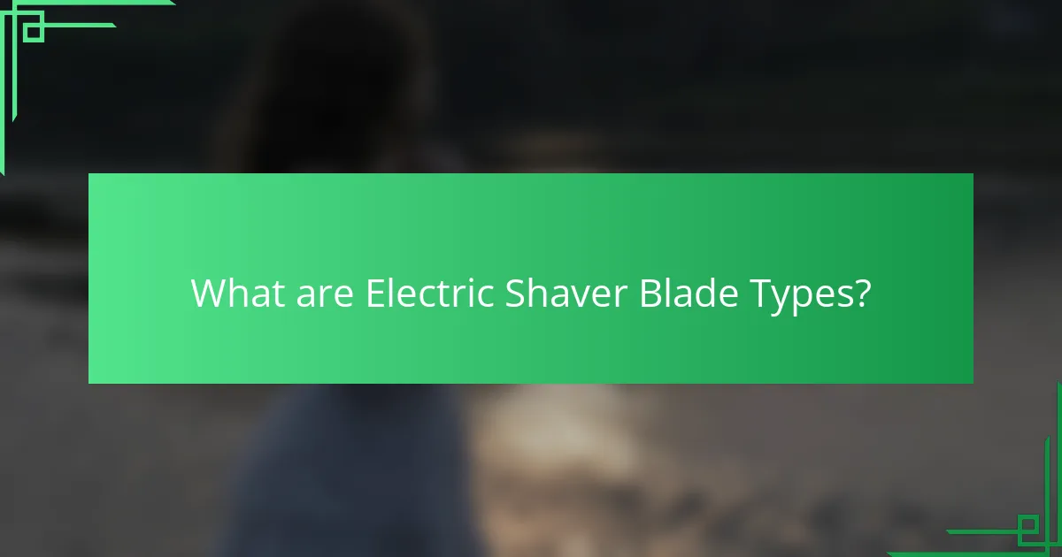 What are Electric Shaver Blade Types?