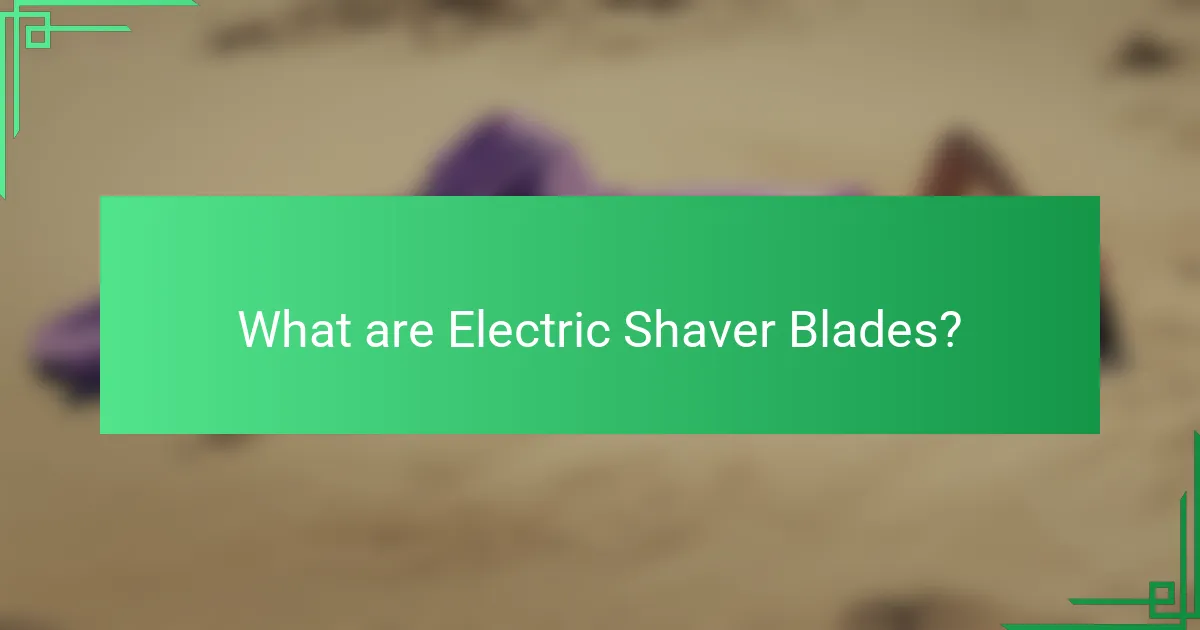 What are Electric Shaver Blades?