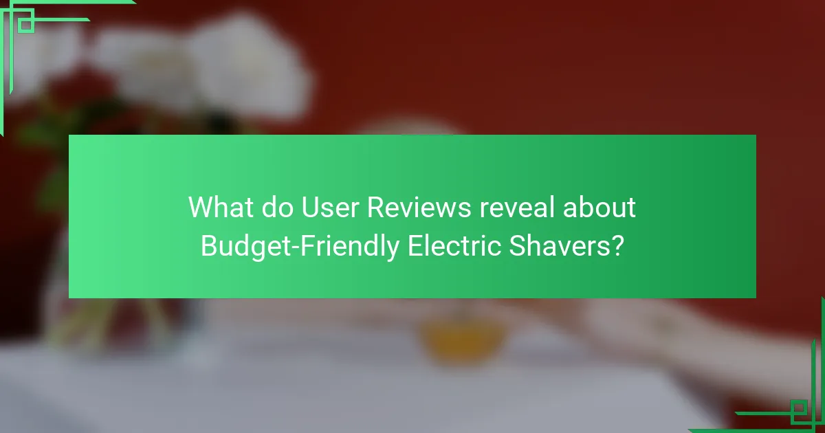 What do User Reviews reveal about Budget-Friendly Electric Shavers?