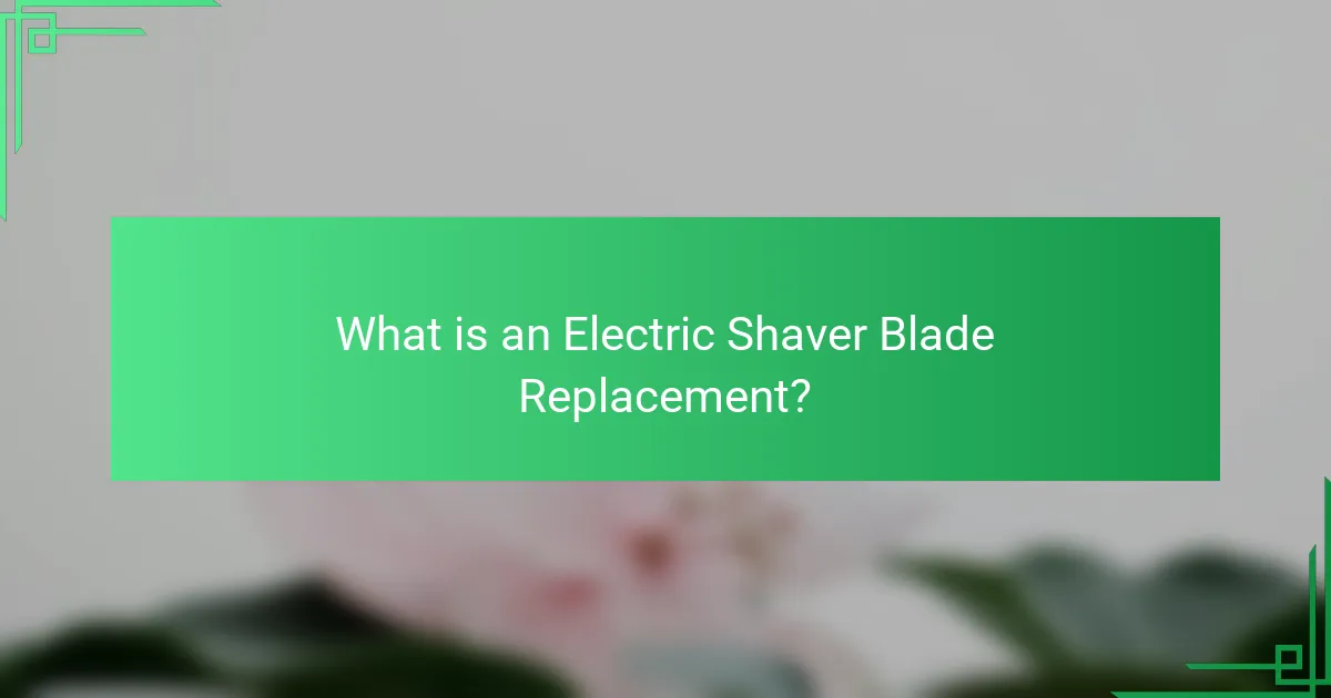 What is an Electric Shaver Blade Replacement?